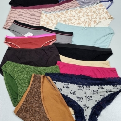 Ladies Panty 1